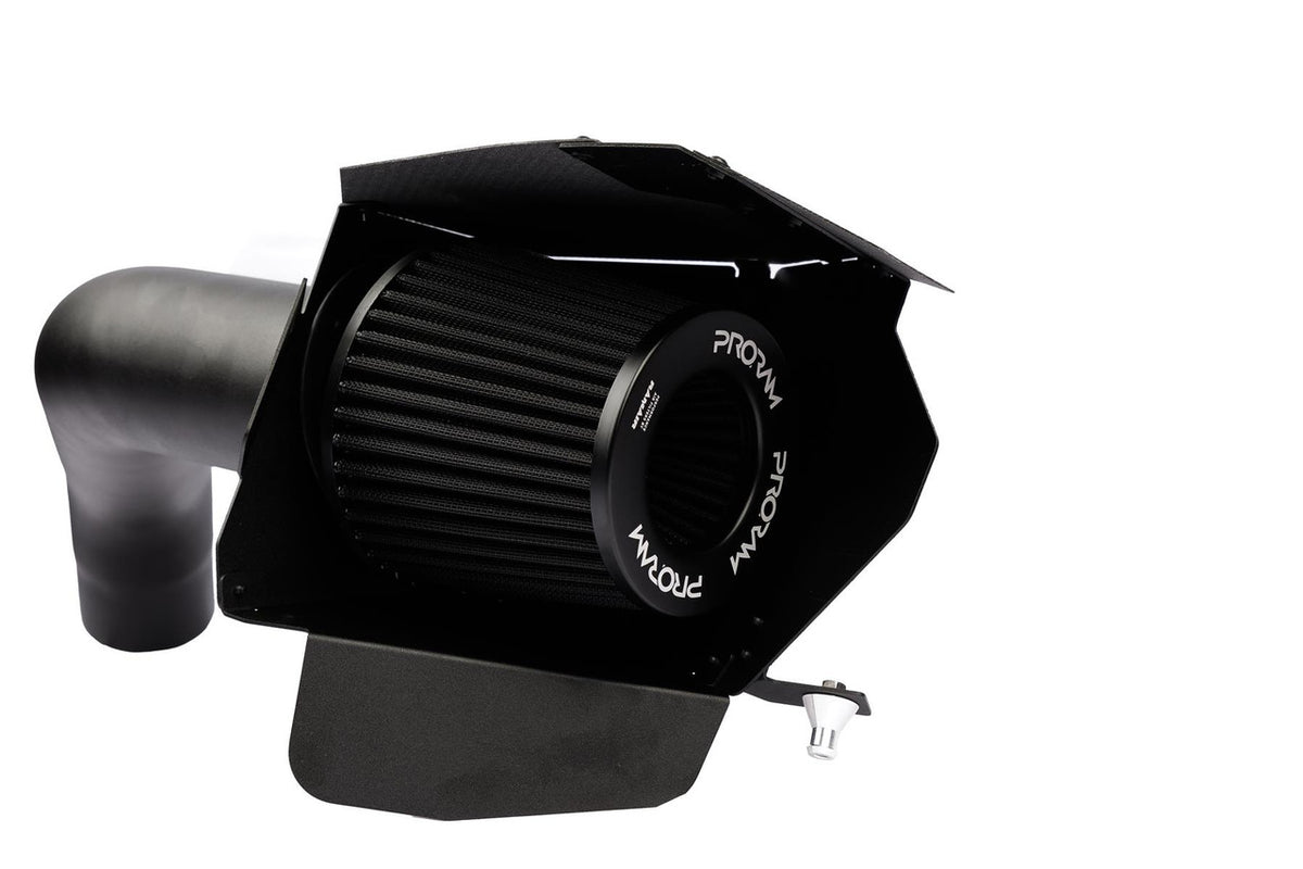 Ramair Proram Air Intake Induction Kit for BMW N55 F2x F3x F87 M2 Carbon Lid
