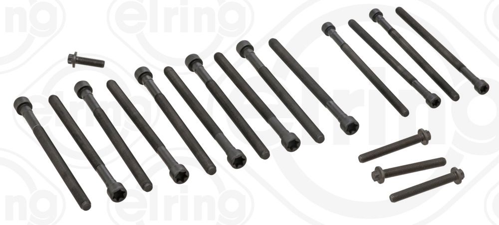 Elring Head Bolts for BMW N55